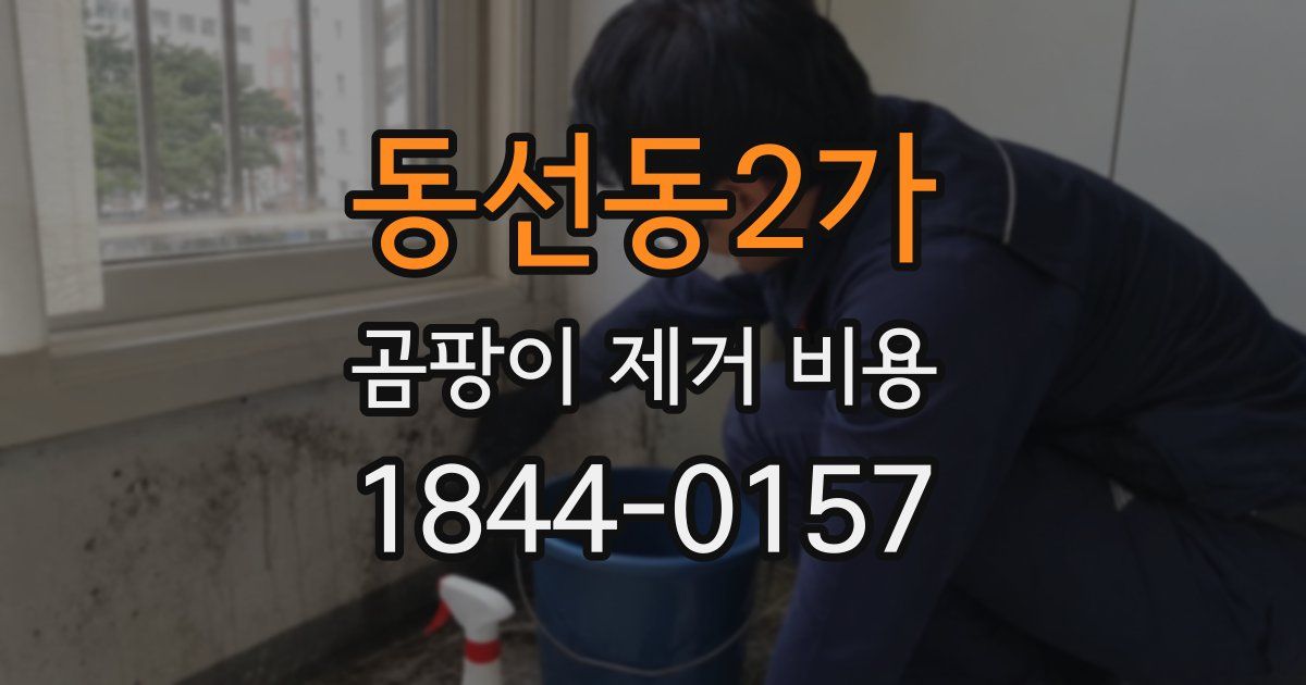 동선동2가 곰팡이 제거 비용