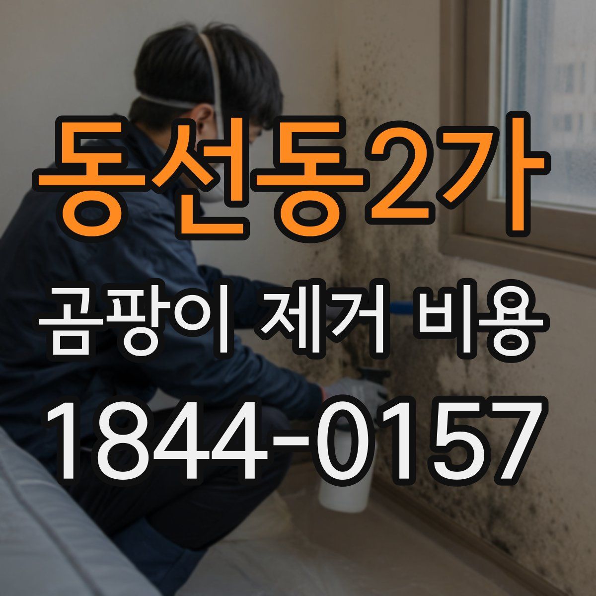 동선동2가 곰팡이 제거 비용