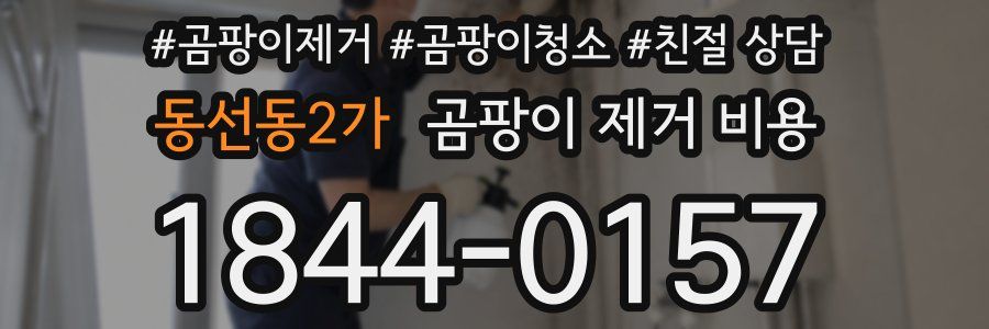 동선동2가 곰팡이 제거 비용