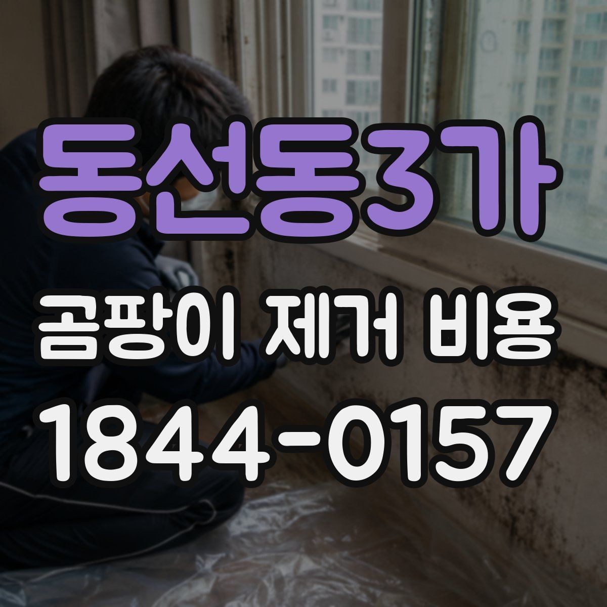 동선동3가 곰팡이 제거 비용 문의할 때 자주 묻는 질문