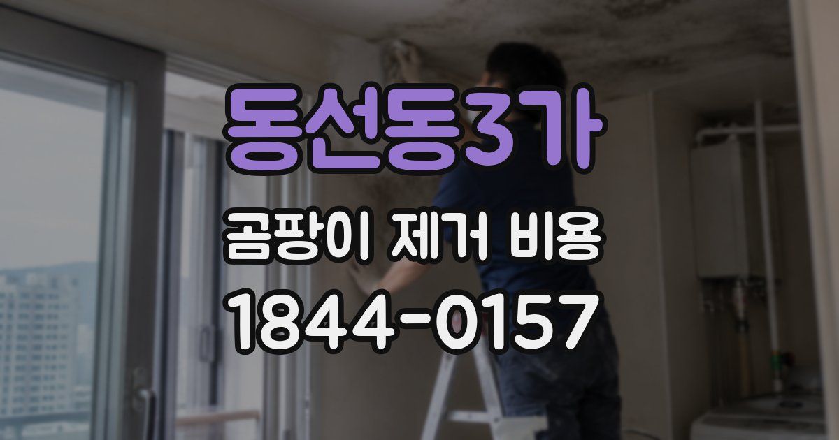 동선동3가 곰팡이 제거 비용