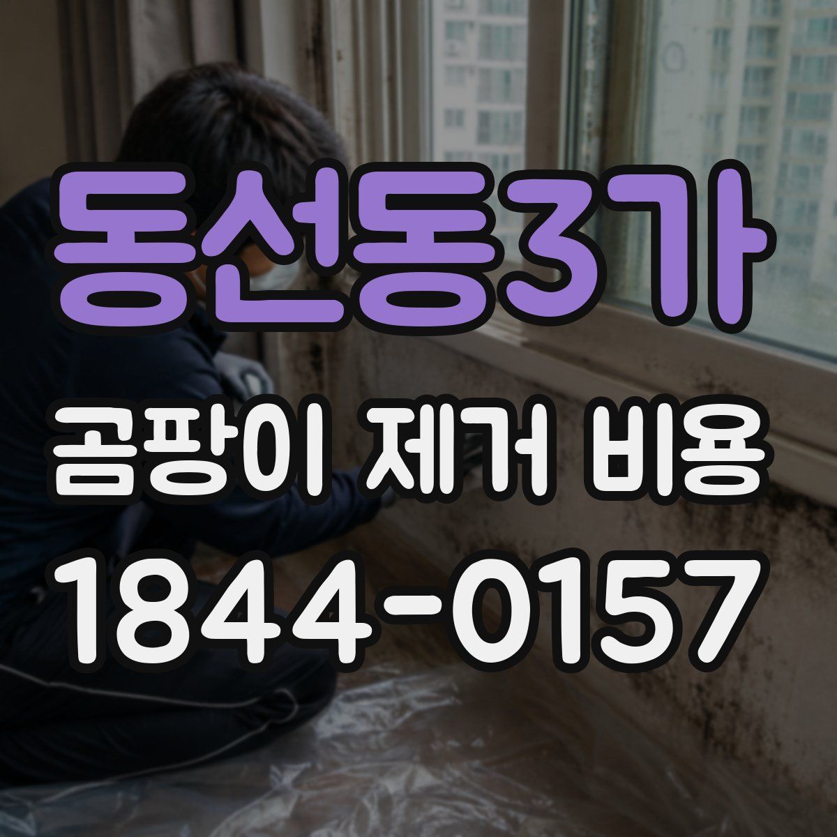 동선동3가 곰팡이 제거 비용