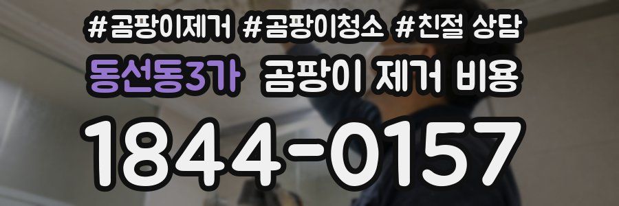 동선동3가 곰팡이 제거 비용