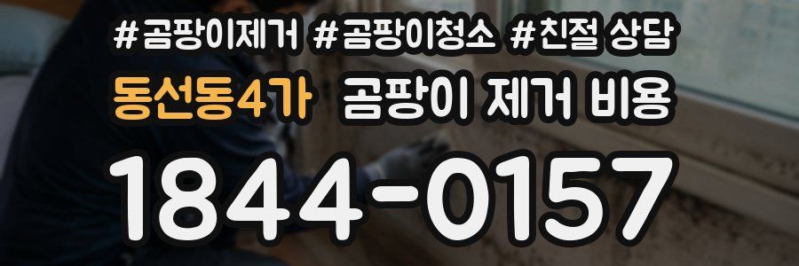 동선동4가 곰팡이 제거 비용