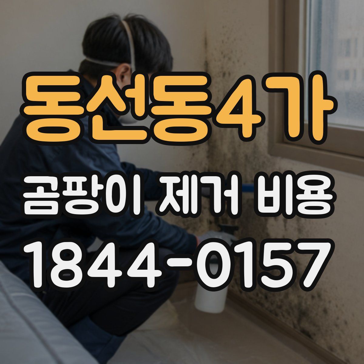 동선동4가 곰팡이 제거 비용