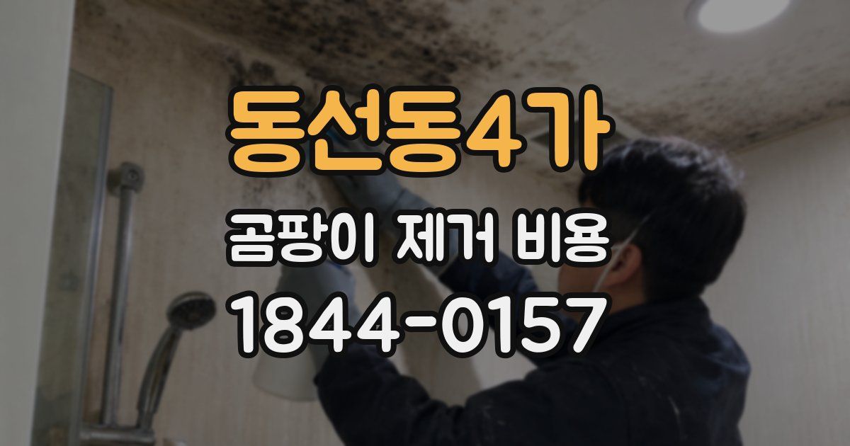 동선동4가 곰팡이 제거 비용