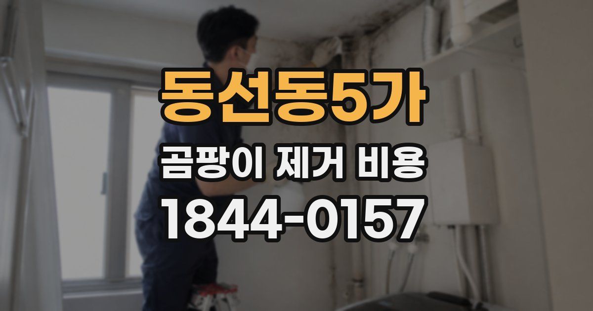 동선동5가 곰팡이 제거 비용