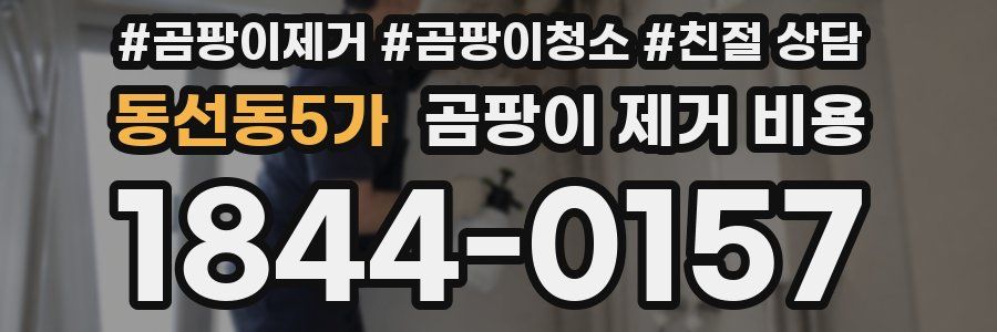 동선동5가 곰팡이 제거 비용