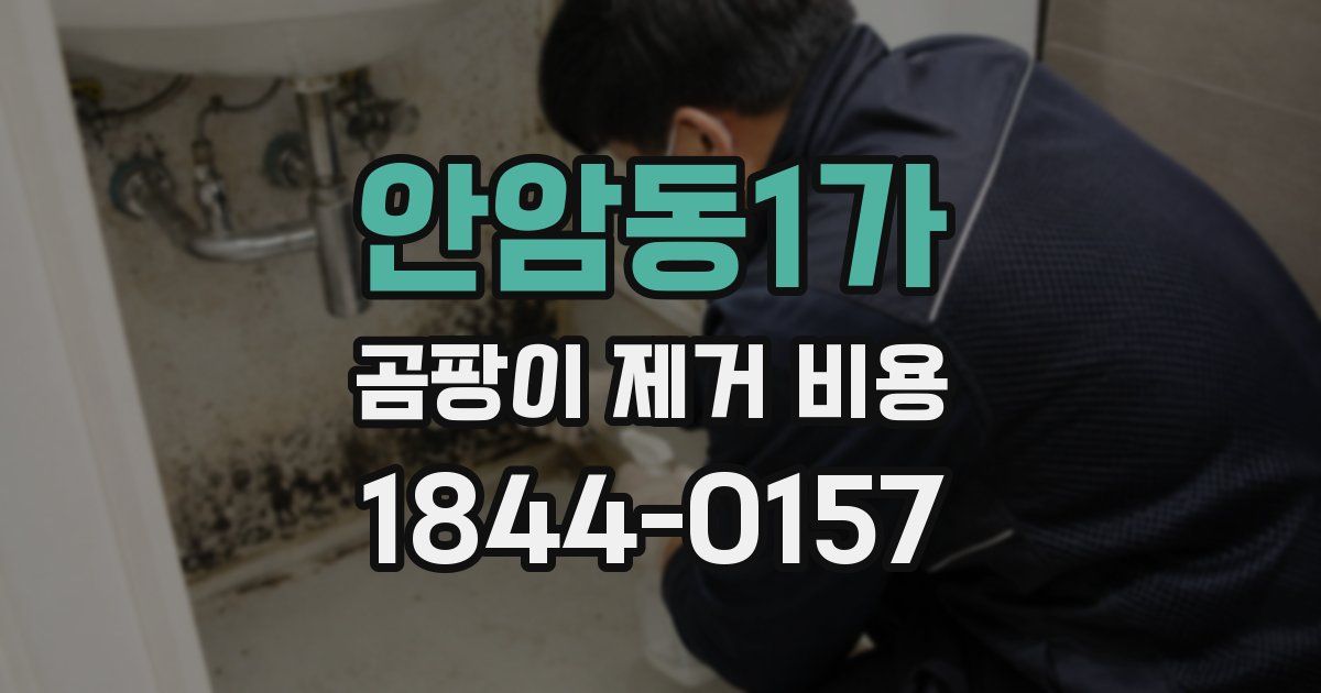 안암동1가 곰팡이 제거 비용