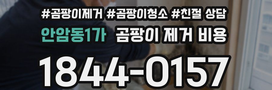 안암동1가 곰팡이 제거 비용