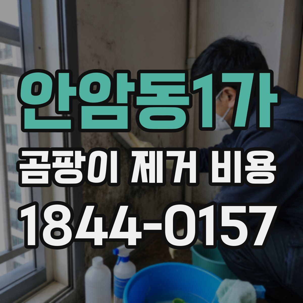 안암동1가 곰팡이 제거 비용