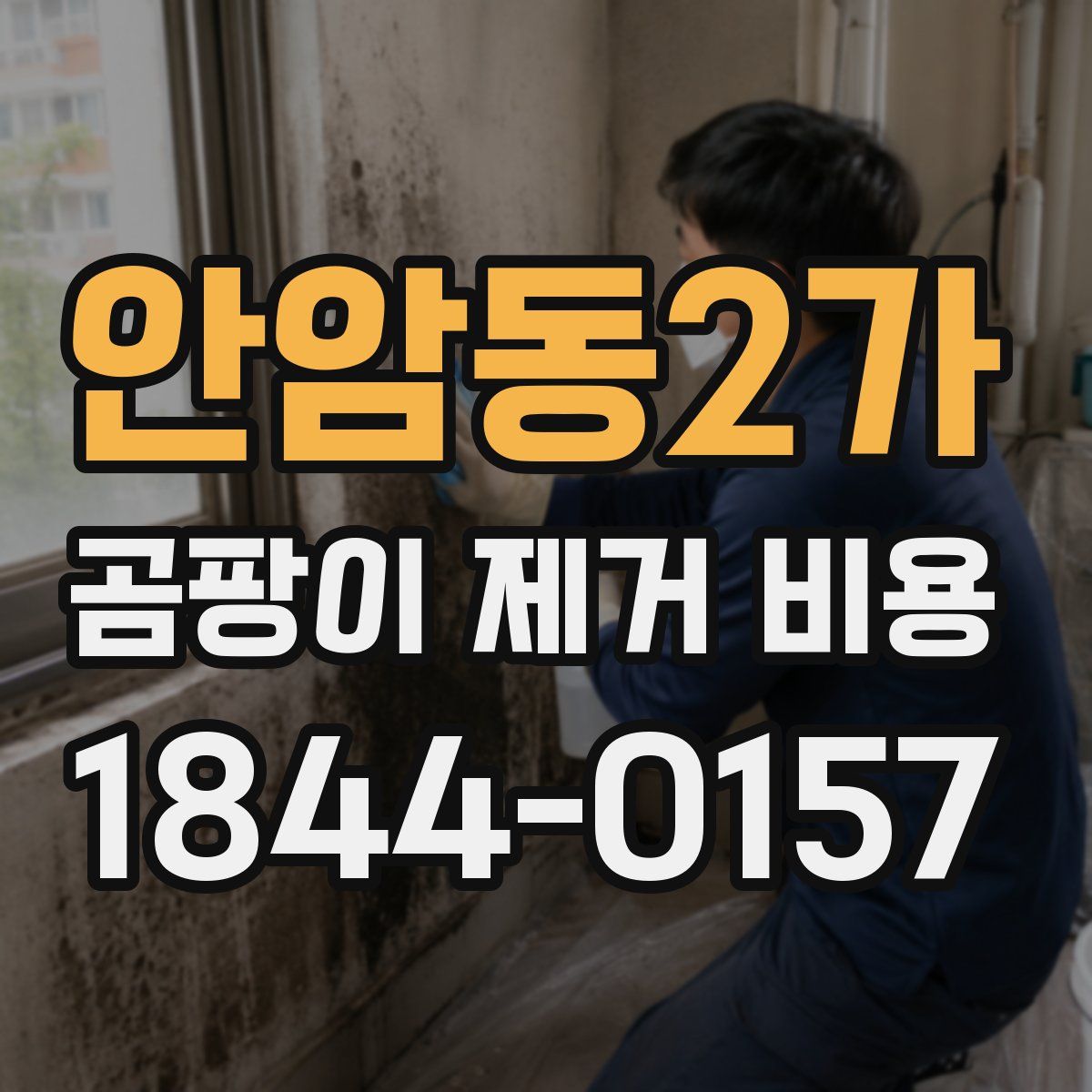 안암동2가 곰팡이 제거 비용