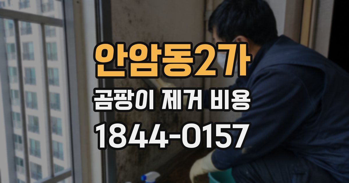 안암동2가 곰팡이 제거 비용