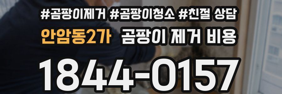 안암동2가 곰팡이 제거 비용