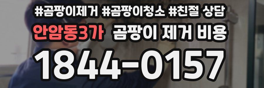 안암동3가 곰팡이 제거 비용