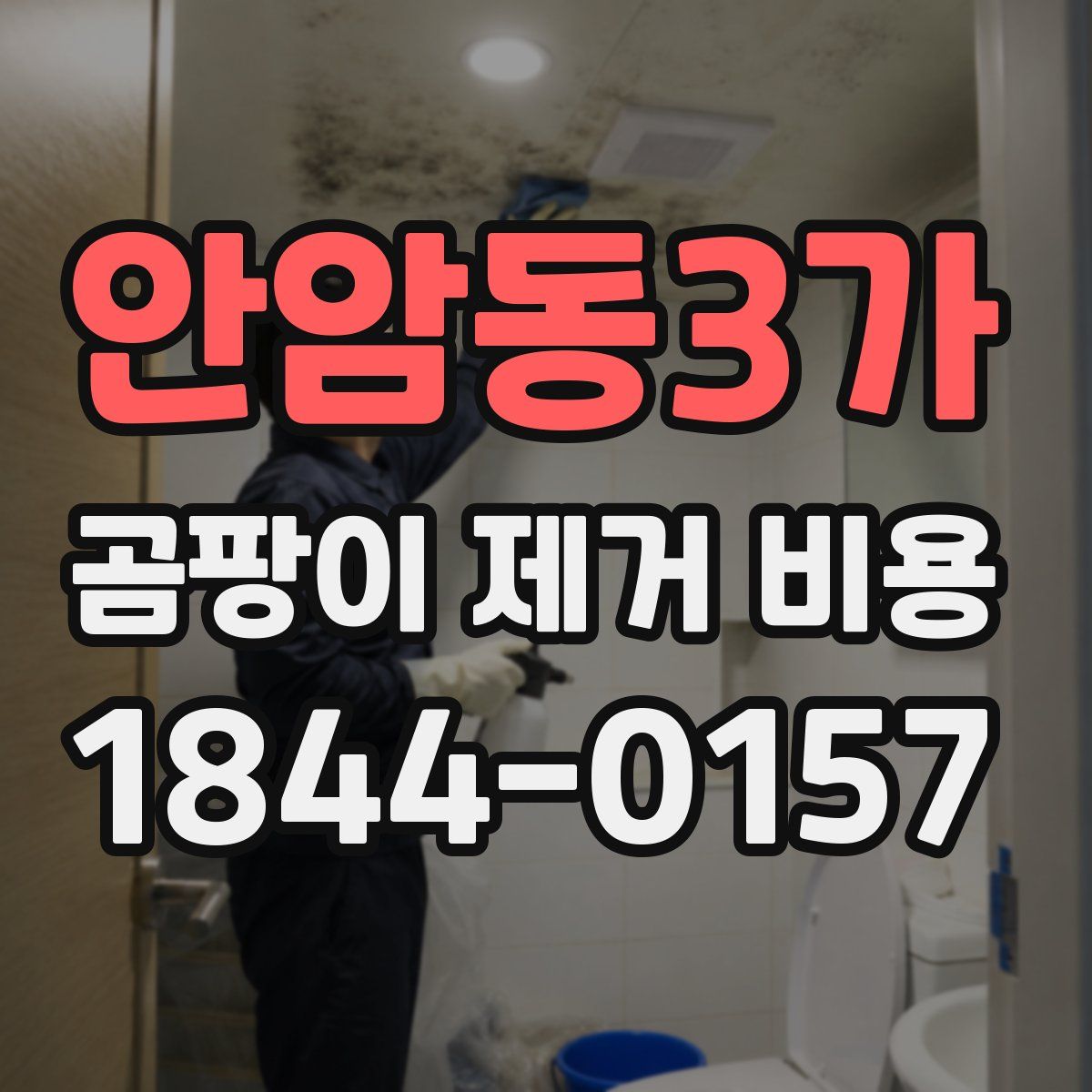 안암동3가 곰팡이 제거 비용