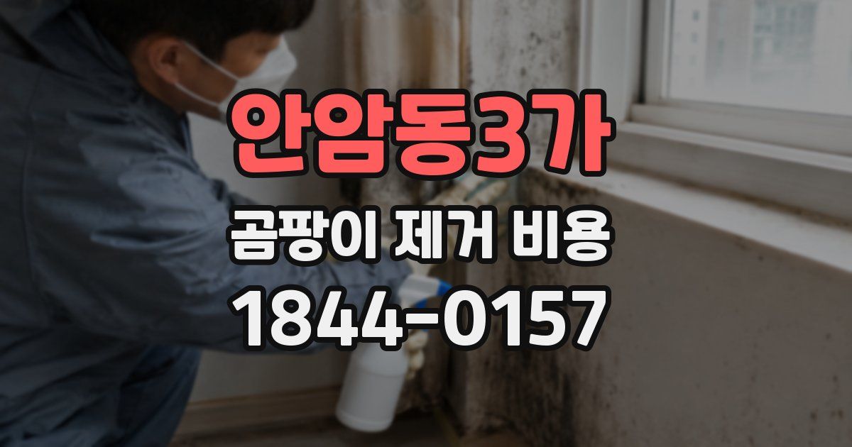 안암동3가 곰팡이 제거 비용