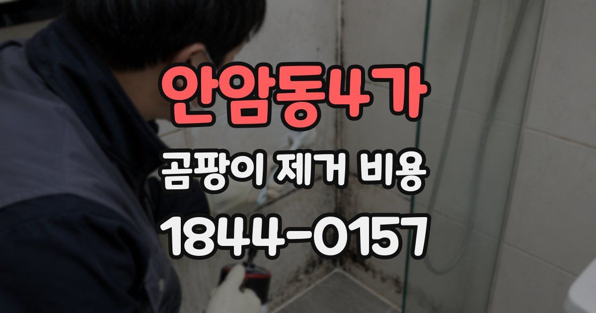 안암동4가 곰팡이 제거 비용