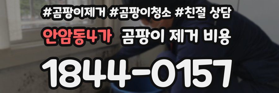 안암동4가 곰팡이 제거 비용