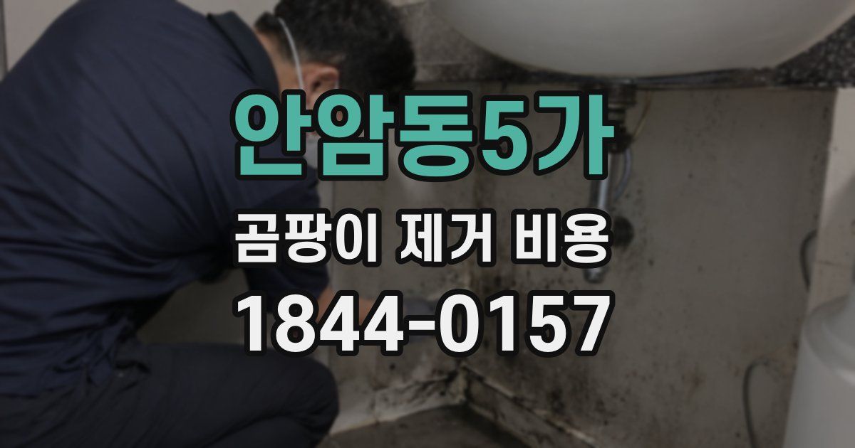 안암동5가 곰팡이 제거 비용