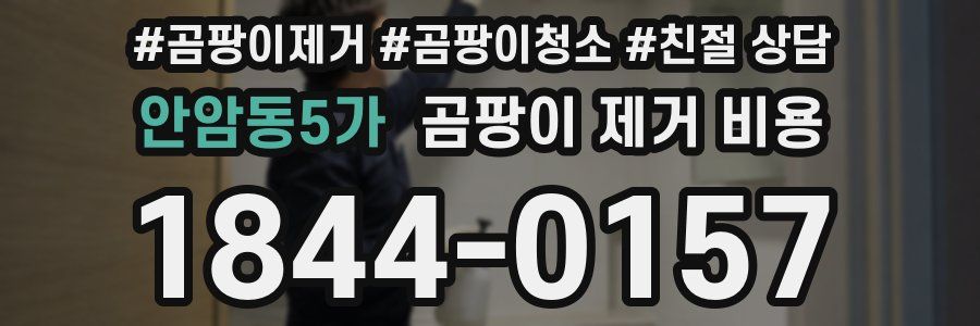 안암동5가 곰팡이 제거 비용
