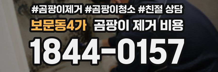 보문동4가 곰팡이 제거 비용