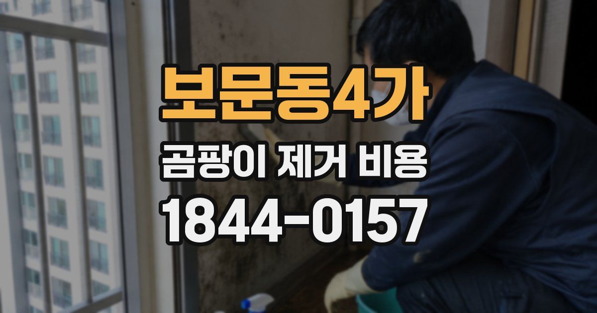보문동4가 곰팡이 제거 비용