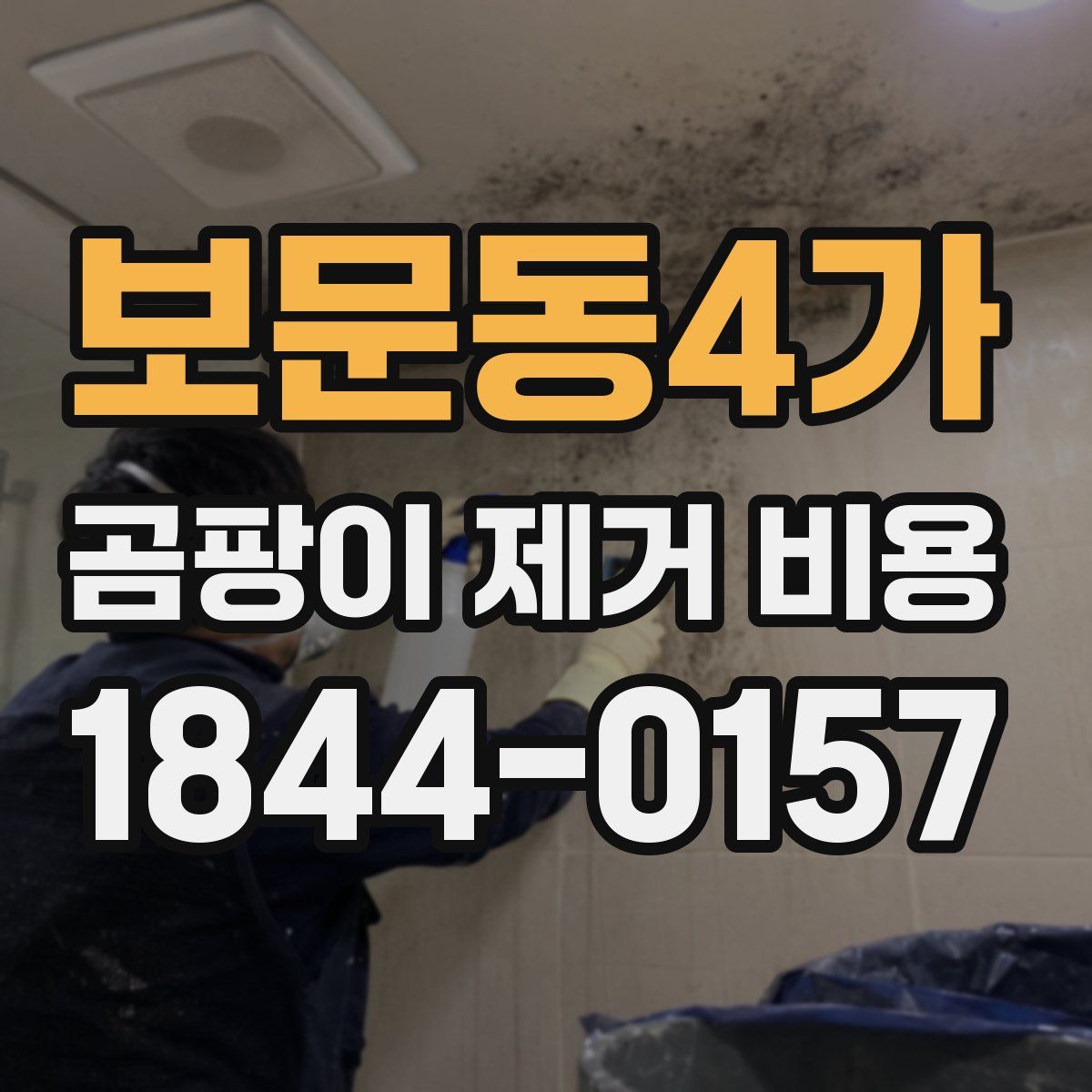 보문동4가 곰팡이 제거 비용
