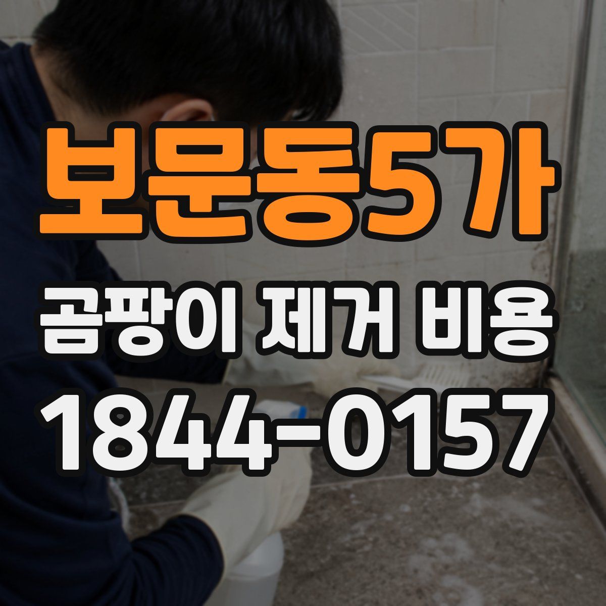보문동5가 곰팡이 제거 비용