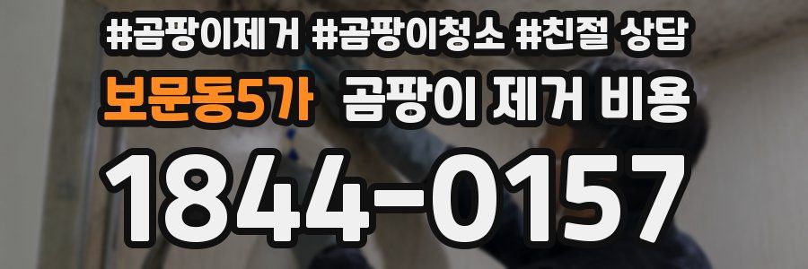 보문동5가 곰팡이 제거 비용