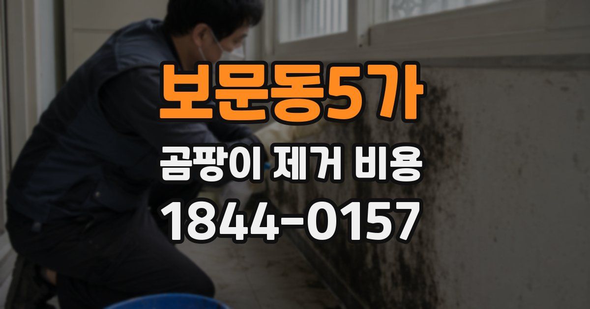 보문동5가 곰팡이 제거 비용