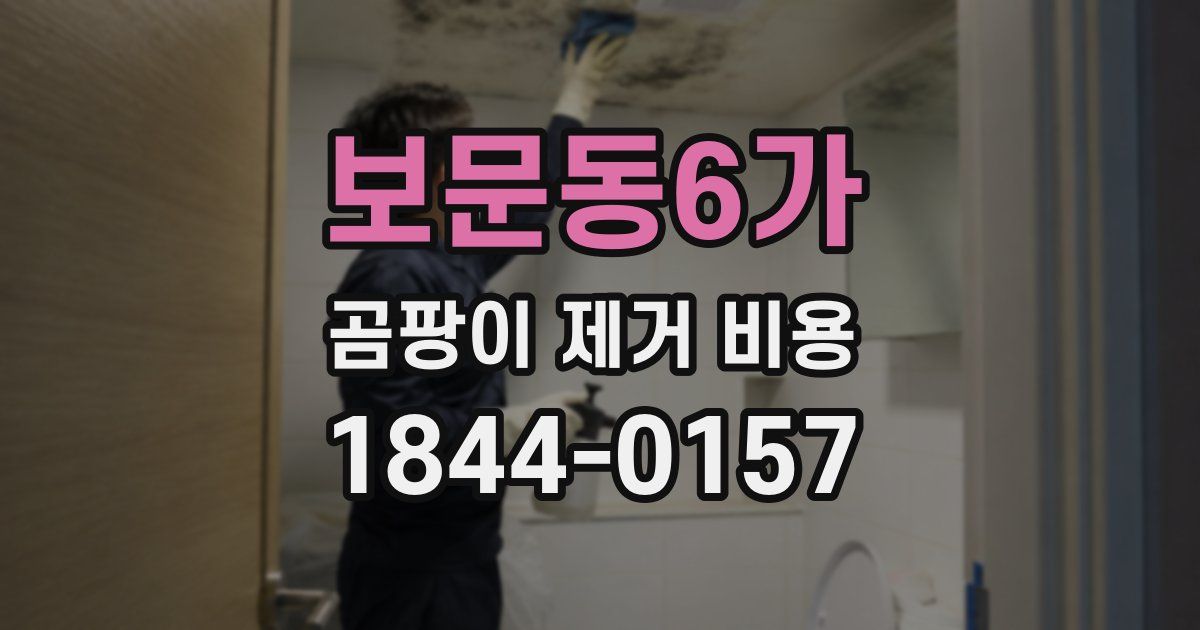 보문동6가 곰팡이 제거 비용