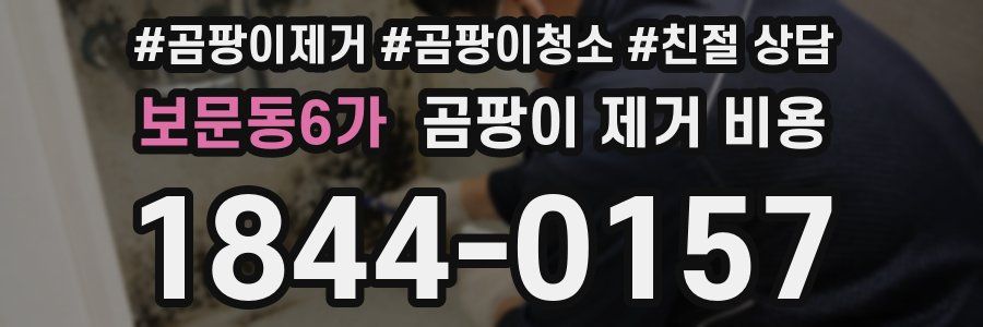 보문동6가 곰팡이 제거 비용