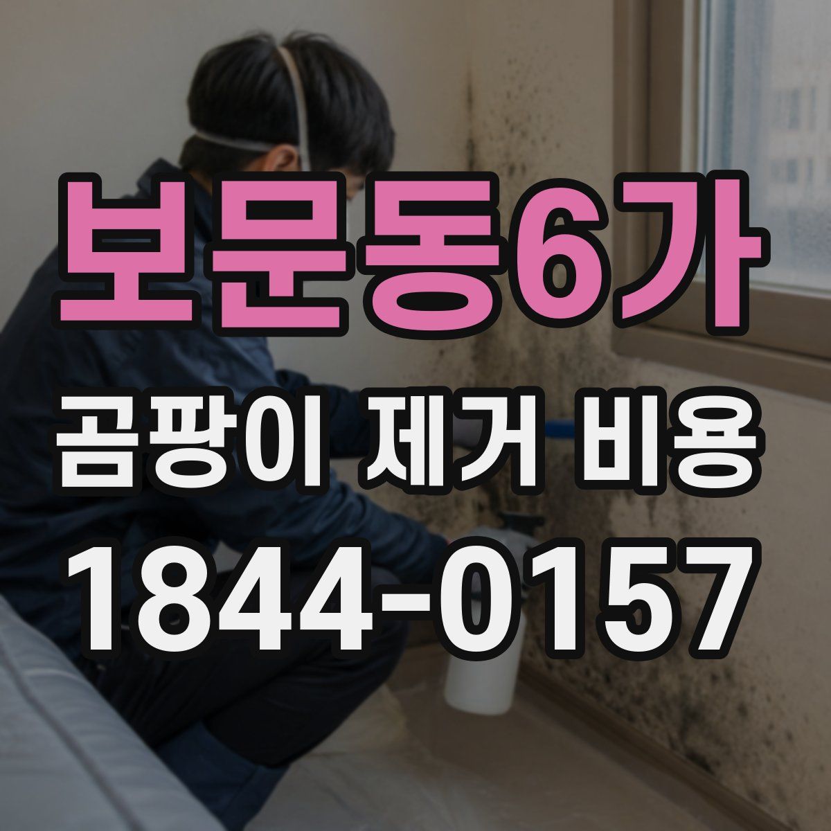 보문동6가 곰팡이 제거 비용