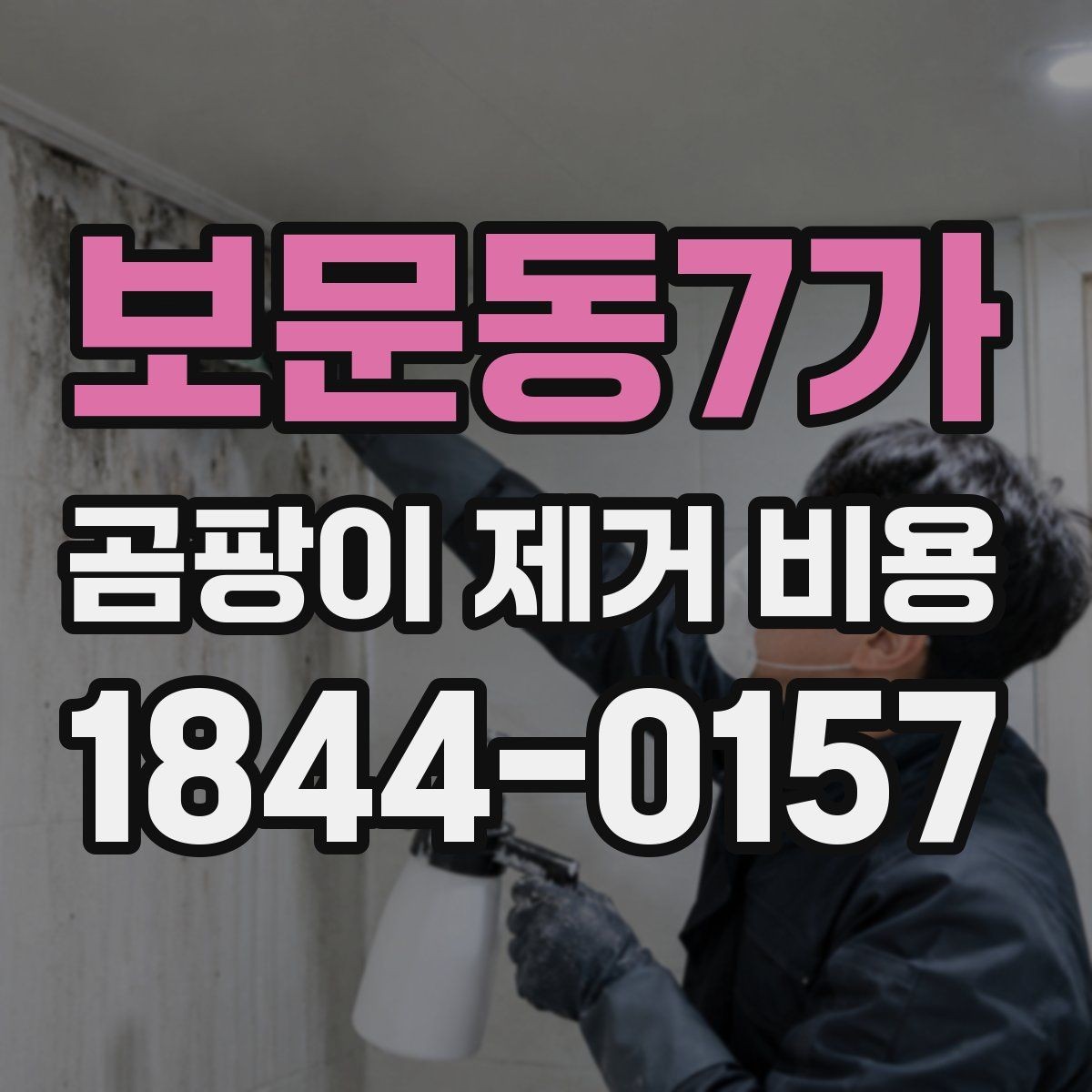 보문동7가 곰팡이 제거 비용 아끼려다 더 커질 수 있는 상황