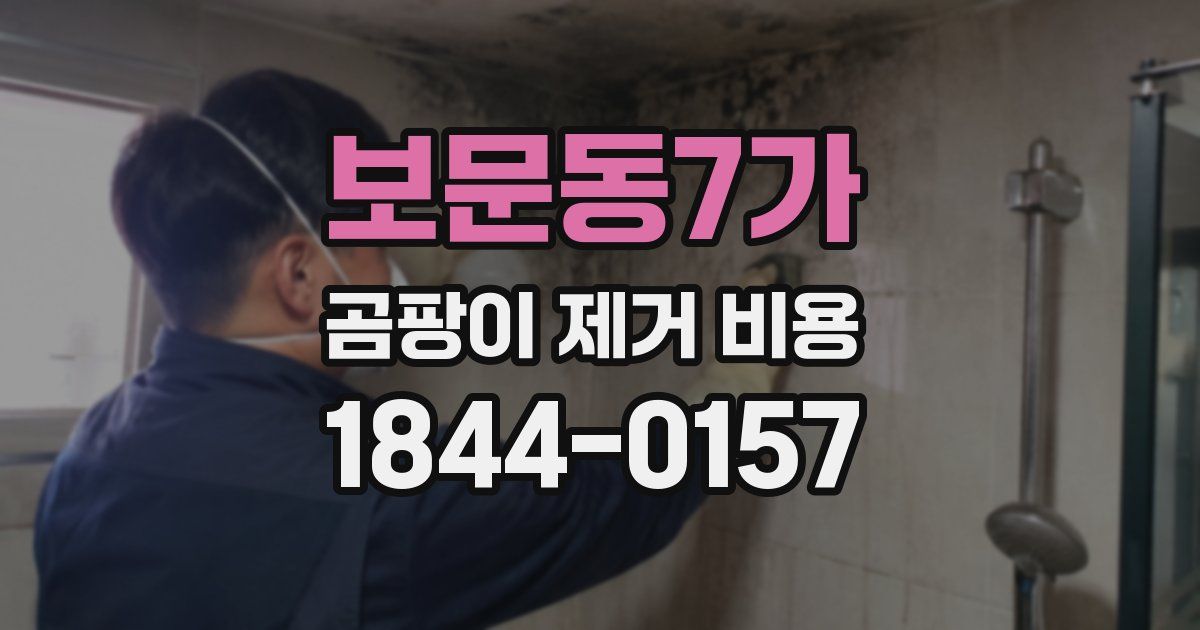 보문동7가 곰팡이 제거 비용
