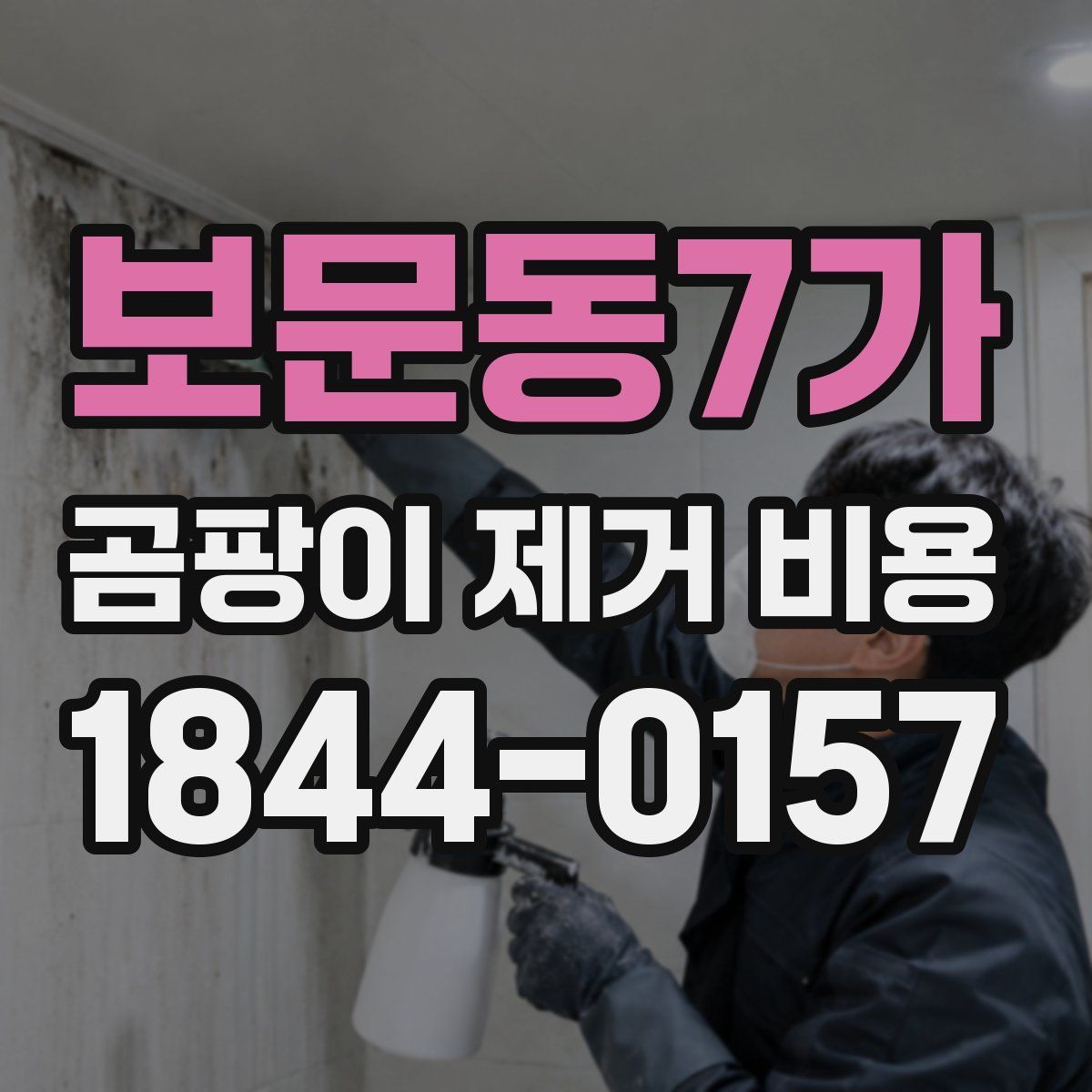보문동7가 곰팡이 제거 비용