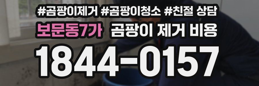 보문동7가 곰팡이 제거 비용