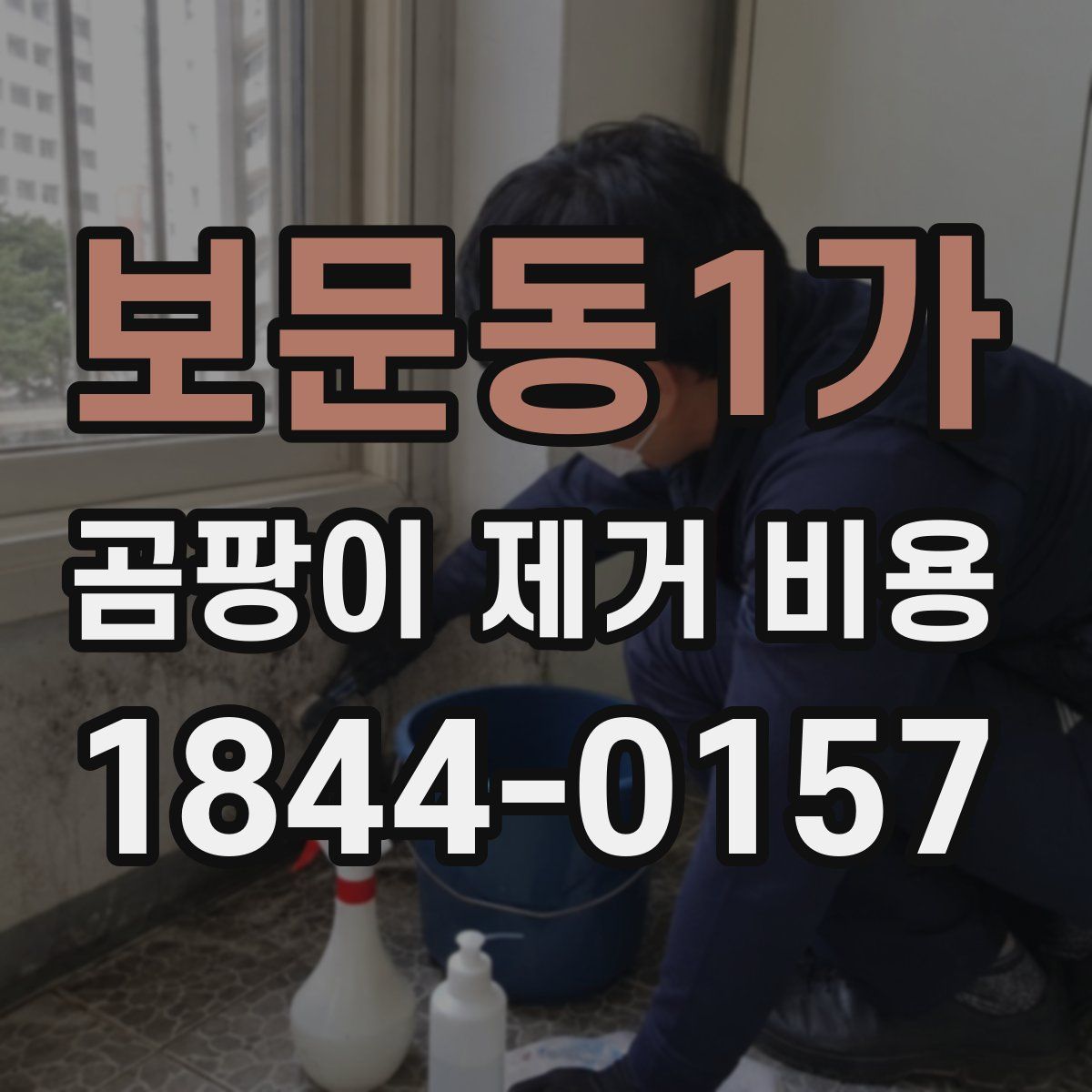 보문동1가 곰팡이 제거 비용