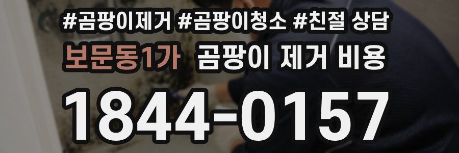 보문동1가 곰팡이 제거 비용
