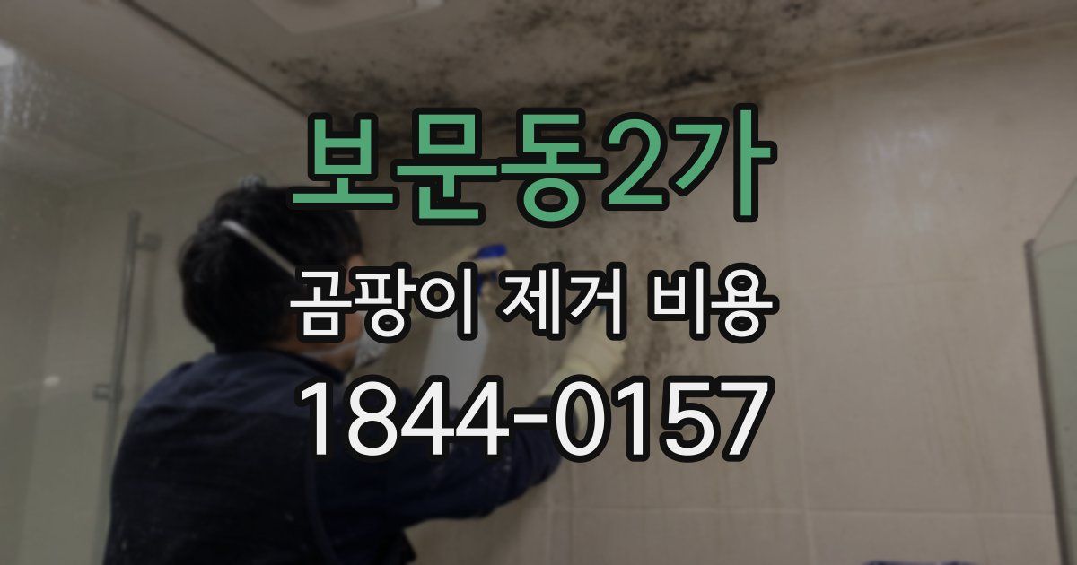 보문동2가 곰팡이 제거 비용