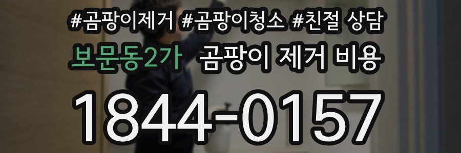 보문동2가 곰팡이 제거 비용