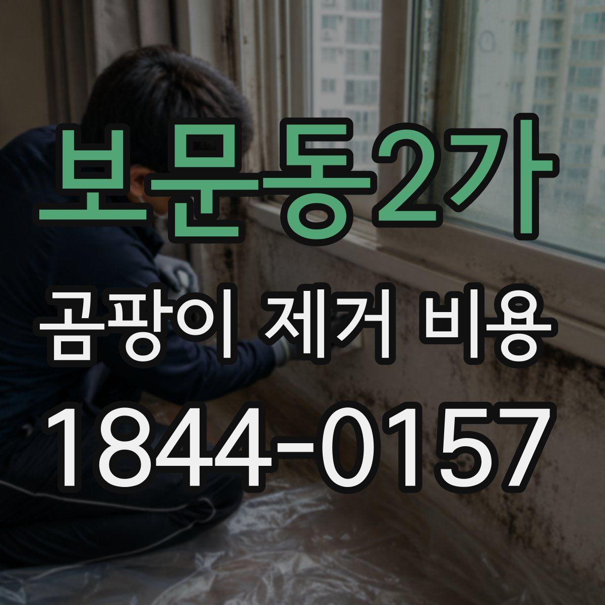 보문동2가 곰팡이 제거 비용