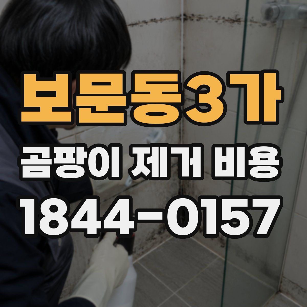 보문동3가 곰팡이 제거 비용