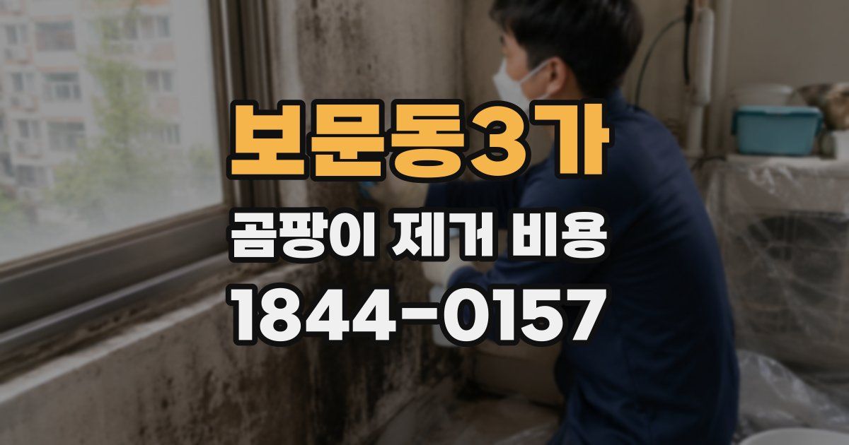 보문동3가 곰팡이 제거 비용