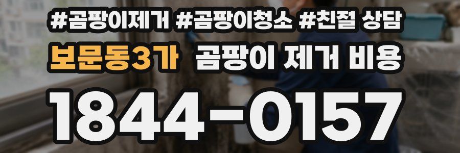 보문동3가 곰팡이 제거 비용