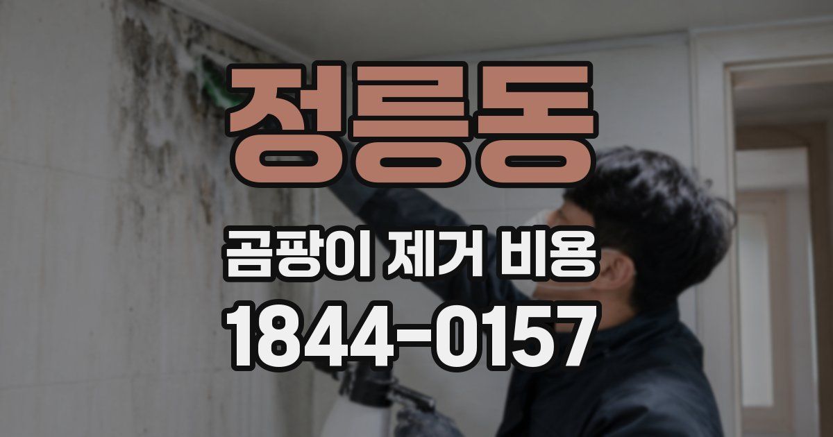 정릉동 곰팡이 제거 비용