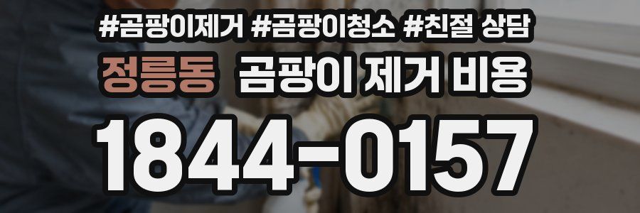 정릉동 곰팡이 제거 비용