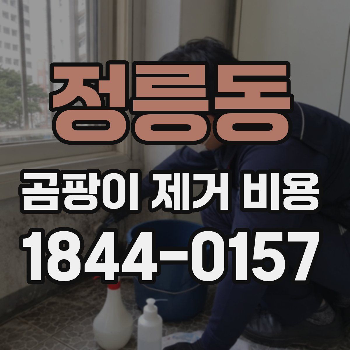 정릉동 곰팡이 제거 비용