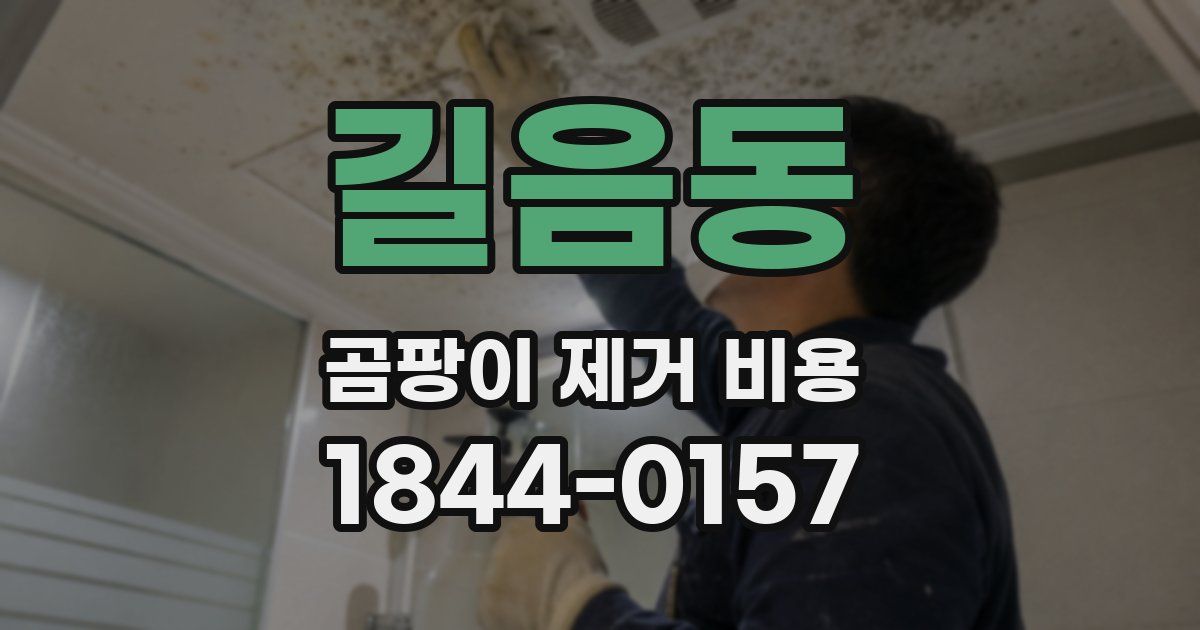 길음동 곰팡이 제거 비용